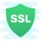 ücretsiz ssl